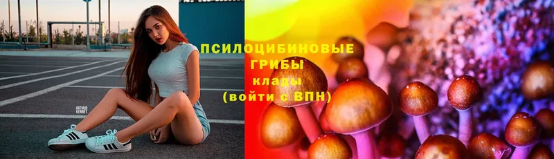 Галлюциногенные грибы MAGIC MUSHROOMS  где продают наркотики  Петровск 